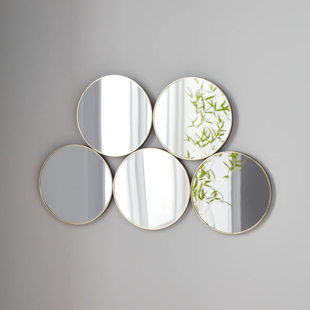 5 Circles Mirror
